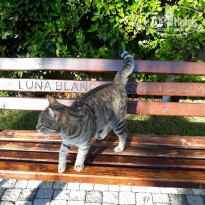 фото из отзыва ID 1627205