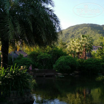 фото из отзыва ID 1627313