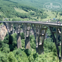 фото из отзыва ID 1627352