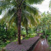 фото из отзыва ID 1627313