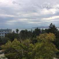 фото из отзыва ID 1627411