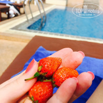 фото из отзыва ID 1627491