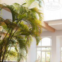 фото из отзыва ID 1627722