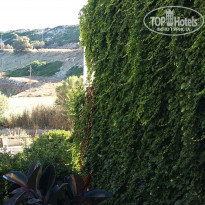 фото из отзыва ID 1627811