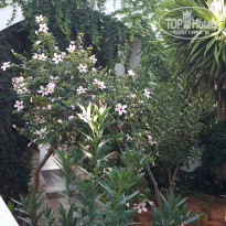 фото из отзыва ID 1627811