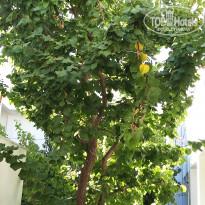 фото из отзыва ID 1627811