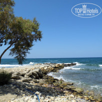 фото из отзыва ID 1627811