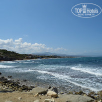 фото из отзыва ID 1627811