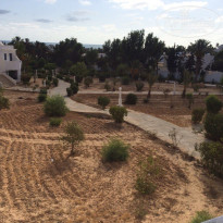 фото из отзыва ID 1627813