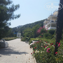 фото из отзыва ID 1627872