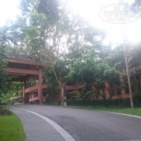 фото из отзыва ID 1628033