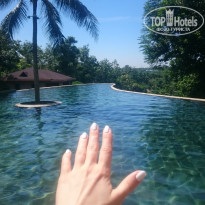 фото из отзыва ID 1628033