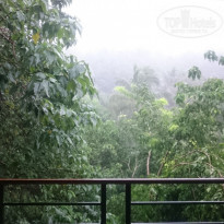 фото из отзыва ID 1628033