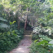 фото из отзыва ID 1628033