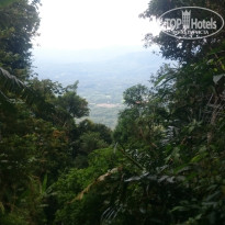 фото из отзыва ID 1628033