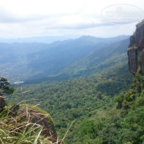 фото из отзыва ID 1628033