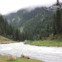 фото из отзыва ID 1628101