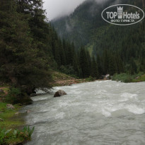 фото из отзыва ID 1628101