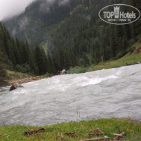 фото из отзыва ID 1628101