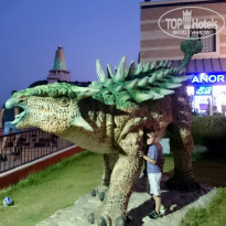 фото из отзыва ID 1628165