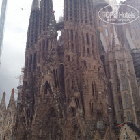 фото из отзыва ID 1628431