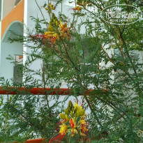 фото из отзыва ID 1628531