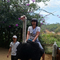 фото из отзыва ID 1628585