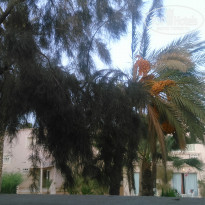 фото из отзыва ID 1628529