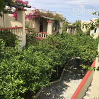 фото из отзыва ID 1628619