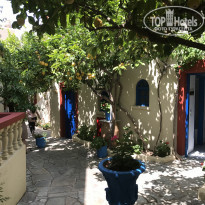 фото из отзыва ID 1628619