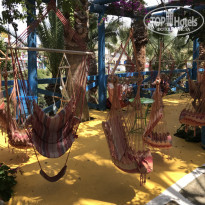 фото из отзыва ID 1628619