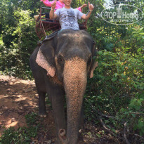 фото из отзыва ID 1628658