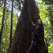 фото из отзыва ID 1628658