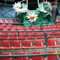 фото из отзыва ID 1628854