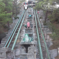 фото из отзыва ID 1628854