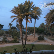 фото из отзыва ID 1629108