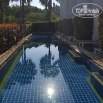 фото из отзыва ID 1629200