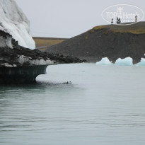 фото из отзыва ID 1629276