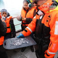 фото из отзыва ID 1629276