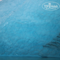 фото из отзыва ID 1629276