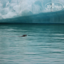 фото из отзыва ID 1629276