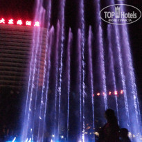 фото из отзыва ID 1629279