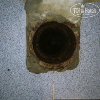 фото из отзыва ID 1629336