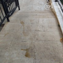 фото из отзыва ID 1629367