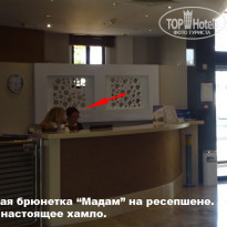 фото из отзыва ID 1629369