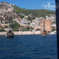 фото из отзыва ID 1629581