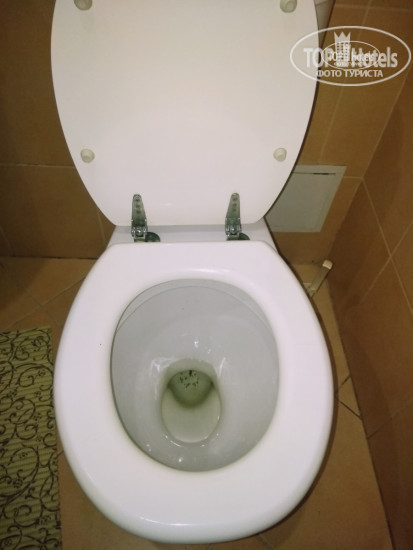 Hotel photo Liene Hotel 3*