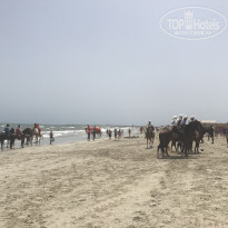 фото из отзыва ID 1629743