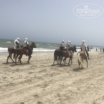 фото из отзыва ID 1629743