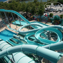 фото из отзыва ID 1629836